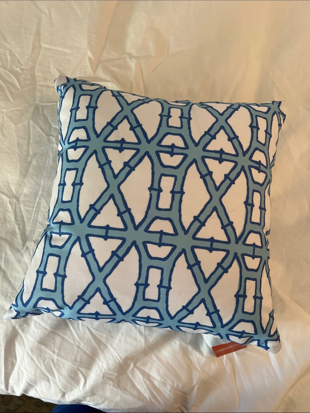 Claire Bella Blue Bamboo Pillow Indoor/Outdoor  16 x16